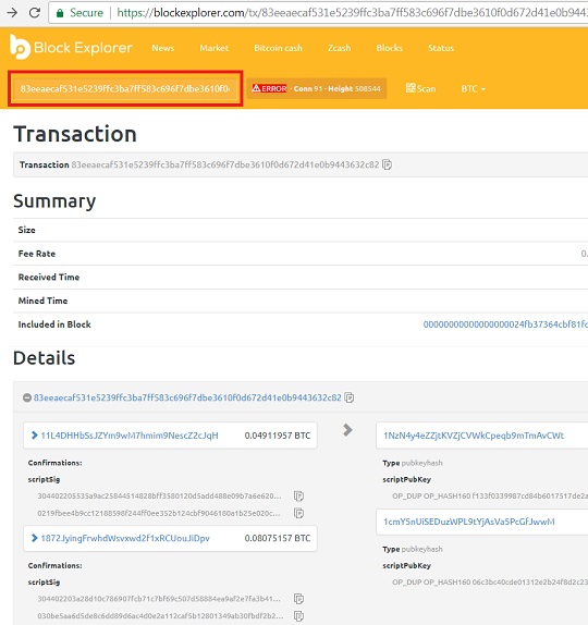 Bitcoin Transaction Details