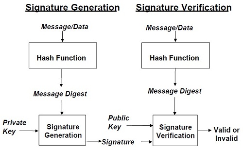 Digital Signature Generation and Verification Processes