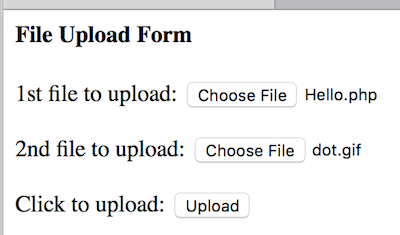 Web Form for File Upload