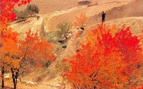 1988 - Huang Tu Gao Po (黄土高坡)- Yellow Earth of the High Plateau