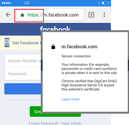 Chrome Showing Lock Icon on HTTPS Address
