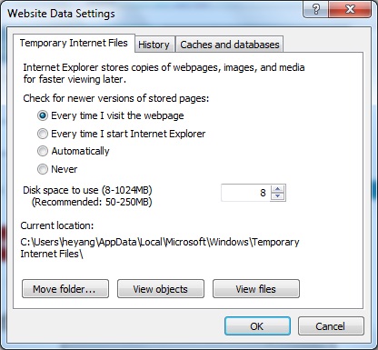 Internet Explorer 10 - Website Data Settings